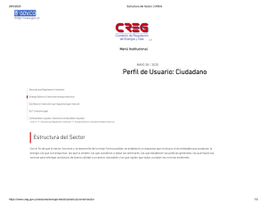 Estructura del Sector   CREG mayo28 2020