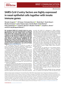 SARS CoV 2 entry factors are highly expressed