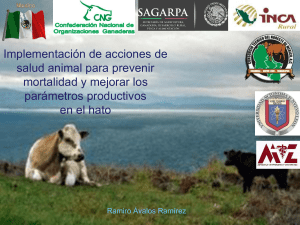 Acciones de la salud animal