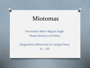 Miotomas