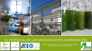 Microalgas (1)