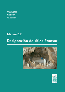 manual 17
