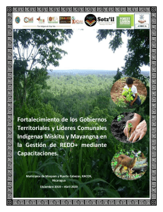 Fortalecimiento de los Gobiernos Territoriales y Líderes Comunales Indígenas Miskitu y Mayangna en la Gestión de REDD+ mediante Capacitaciones.