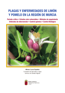 1193-Texto Completo 1 Plagas y enfermedades de lim-n y  pomelo en la Regi-n de Murcia