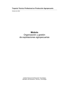 Organización y gestion