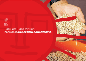 Semillas Criollas base de la Soberanía Alimentaria- Red de Semillas Uruguay