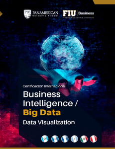 business-intelligence-FIU-PBS-Nic-2018