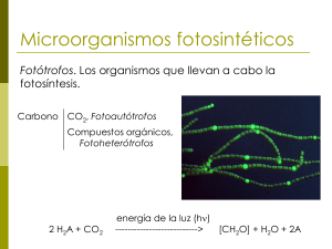 U3d MicroorganismosFotosinteticos A 20263