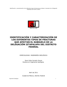 Carreón, D. (2011) Identificación y caracterización de los diferentes tipos de fracturas que afectan el subsuelo de la delegación Iztapalapa del Distrito Federal. Ciudad de México Ingeniería Geológica,