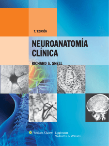 neuroanatomia clinica rychard s. snell 7ma-edicion