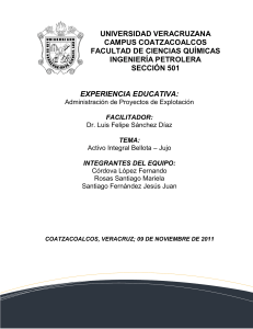 Activo Integral Bellota-Jujo: Informe de Producci&oacute;n y Geolog&iacute;a