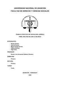 Delitos de Cuello Blanco: An&aacute;lisis Sociol&oacute;gico en Paraguay
