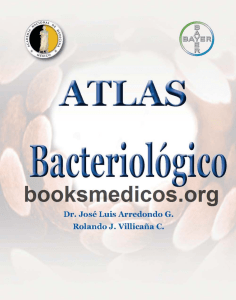 Atlas Bacteriologico Bayer 