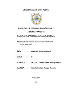 analisis de la directiva de auditoria financiera gubernamental