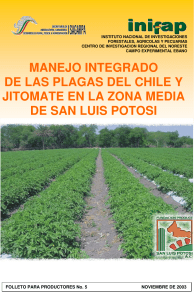 Manejo integrado de las plagas del chile y jitomate en la zona media de San Luis Potos (2)