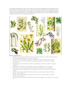 230 plantas medicinales