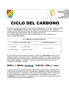CICLO DEL CARBONO 2020