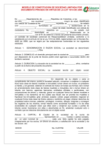 modelo para constitucion sociedad ltda ley 1014 de 2006