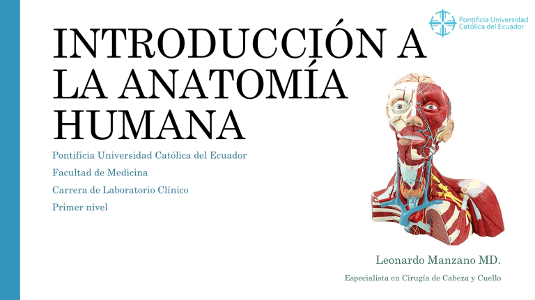 Unidad 1 IntroducciÓn A La Anatomia Humana 5654