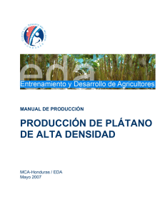 Produccion de Platano de Alta Densidad