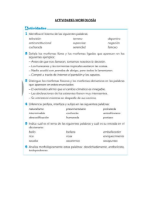 ACTIVIDADES MORFOLOGÍA