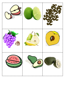 Loteria de frutas y verduras ok (1)