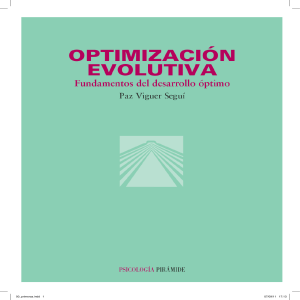Viguer, P. (2004). Optimización evolutiva