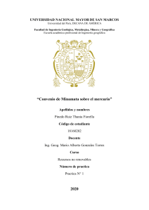 Convenio de Minamata sobre el Mercurio: Análisis de la Minería en Perú