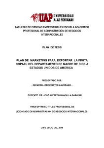 285838460-Plan-de-Marketing-Para-Exportar-La-Fruta-Copazu-Del-Departamento-de-Madre-de-Dios-a-Ee-uu