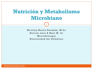 4. Nutrición y Metabolismo Microbiano