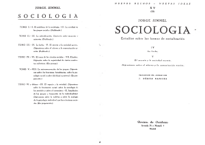 Simmel, Sociologia 03