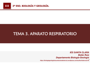 vdocuments.site tema-3-aparato-respiratorio-aparato-respiratorio-3-aparato-respiratorio