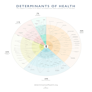 determinants-of-health-poster