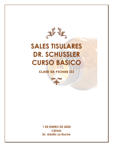 SALES  TISULARES DE SCHUSSLER CLASE  6A  FICHAS III