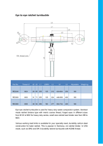 6.eye to eye ratchet turnbuckle compactor