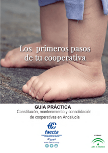 2019-GUÍA CONSTITUCIÓN COOPERATIVAS FAECTA