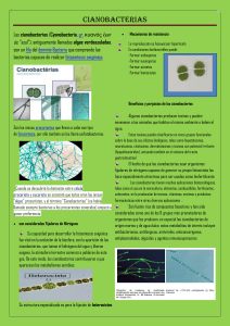 Las cianobacterias folleto informativo pdf