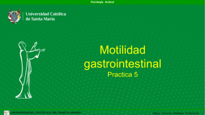 Practica 5. Motilidad gastrointestinal