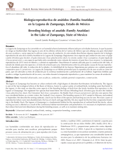 Biología reproductiva de anátidos (Familia Anatidae) en la Laguna de Zumpango, Estado de México