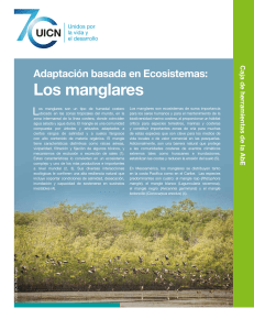 caracteristicas de los manglares