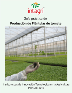 Guia practica de produccion de plantulas