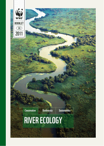 river ecology 