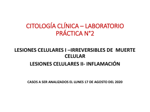 PRACTICA 2. Casos clinicos de Inflamación. CITOLOGIA