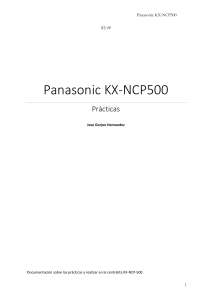 Panasonic NCP500