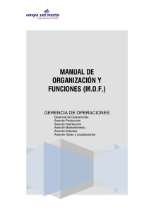 PLAN 13771 MANUAL DE ORGANIZACION Y FUNCIONES (PARTE3) 2009