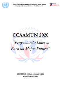 PROTOCOLO OFICIAL CCAAMUN VIRTUAL 2020-1