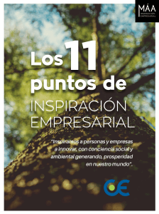 11 Puntos de Inspiración Empresarial