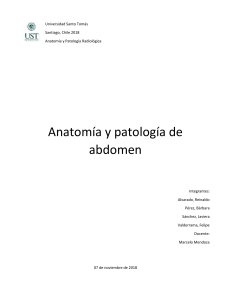 Seminario 6 Anatomía y patología de abdomen
