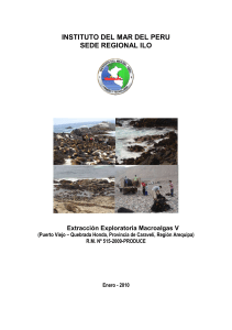 Extracción y Explotación de Macro algas - Arequipa Perú