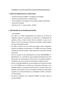 INFORME N°1